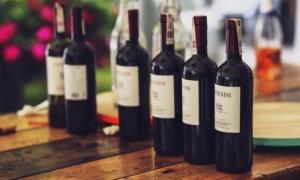 Открываем бизнес по производству вина
